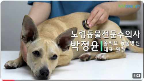 워크넷 유튜브