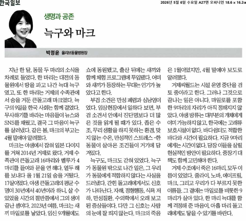 칼럼 1 썸네일