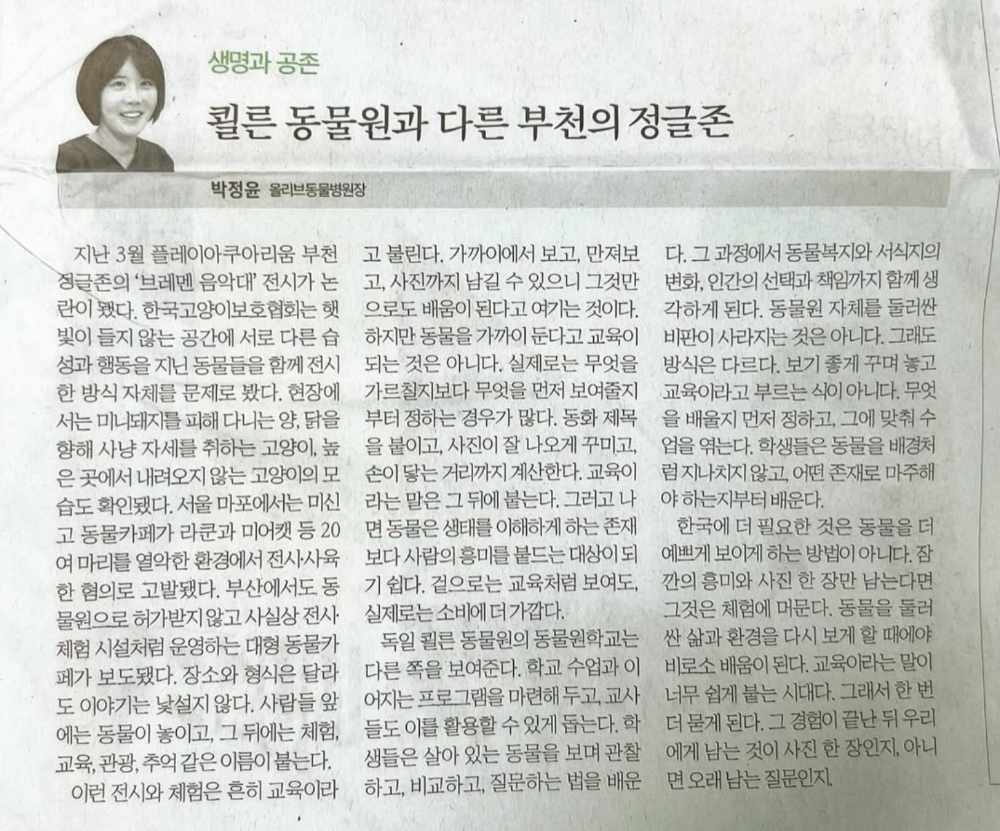 칼럼 2 썸네일